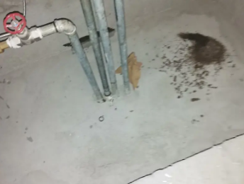 许昌市卫生间测漏水价格明细